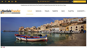 Non Solo Transfer Ncc Tours AutoServizi - Noleggio con Conducente - Taxi